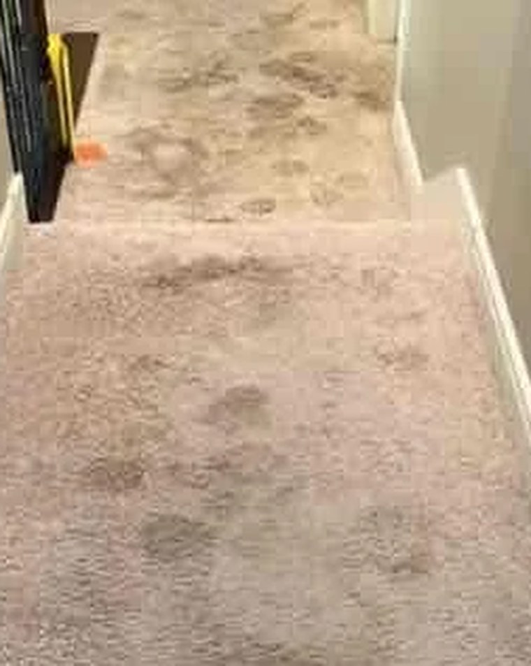 Moquette d'escalier, avant nettoyage