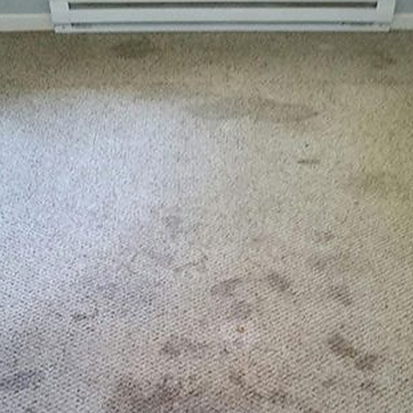 Moquette de couloir avant nettoyage